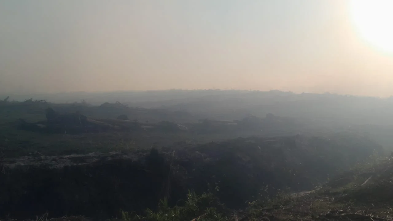 Asap Hitam dari Dugaan Pembakaran Lahan di Halongonan Timur Dikeluhkan Warga, Diminta DLH dan BNPB Segera Turun ke Lokasi
