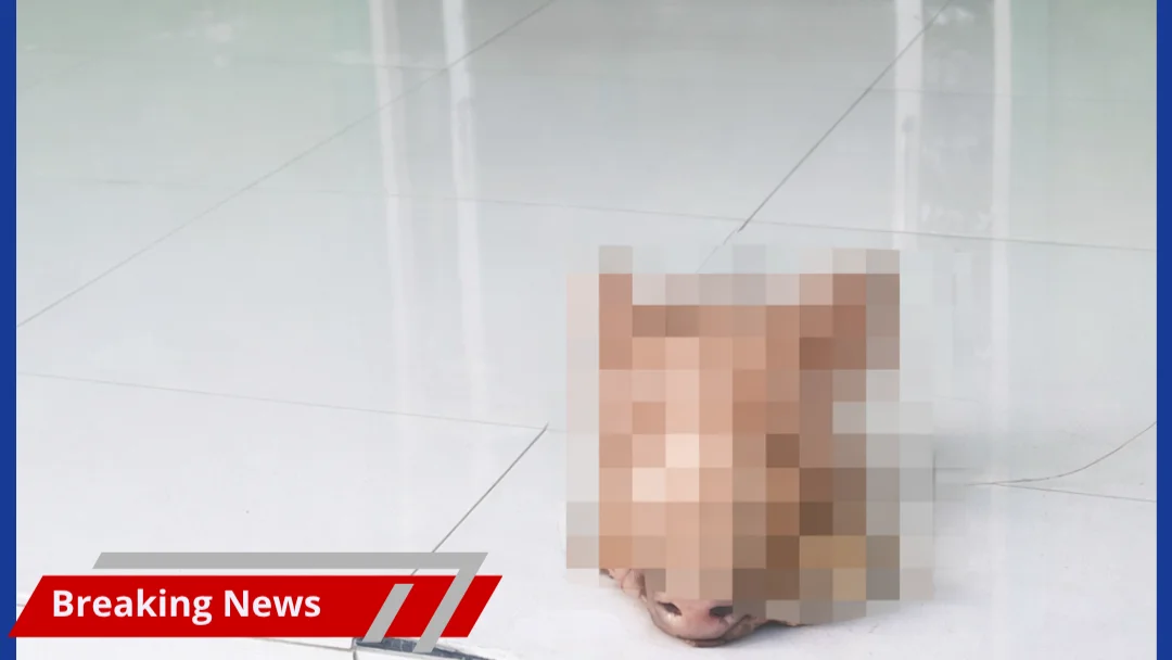 nsiden Dugaan Provokasi kepala babi di Mesjid  Pesantren Al-Hidayah, Aparat Turun Tangan